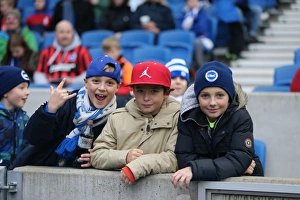 Brighton and Hove Albion vs Charlton Athletic: Sky Bet Championship Showdown at American Express Community Stadium (05DEC15)
