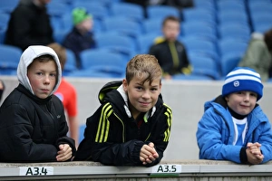 Brighton and Hove Albion vs Charlton Athletic: Sky Bet Championship Showdown at American Express Community Stadium (05DEC15)