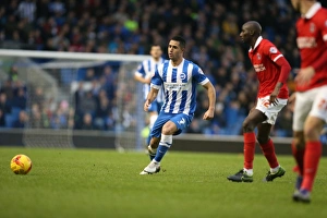 Brighton & Hove Albion vs Charlton Athletic: Sky Bet Championship Showdown at American Express Community Stadium (05DEC15)