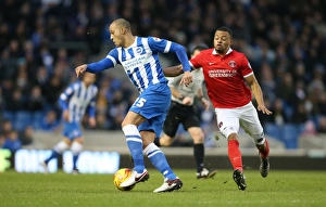 Brighton & Hove Albion vs Charlton Athletic: Sky Bet Championship Showdown at American Express Community Stadium (05DEC15)