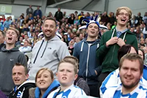 Brighton & Hove Albion vs Charlton Athletic (12/04/14) - 2013-14 Home Games