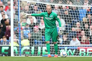 Brighton & Hove Albion vs Charlton Athletic (12/04/14): A Home Game from the 2013-14 Season