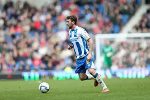 Brighton & Hove Albion vs Charlton Athletic (12/04/14): A Home Game from the 2013-14 Season