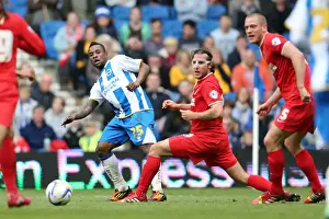 Brighton & Hove Albion vs Charlton Athletic (12/04/14): A Home Game from the 2013-14 Season