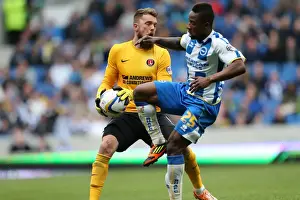 Brighton & Hove Albion vs Charlton Athletic (12/04/14): A Home Game from the 2013-14 Season