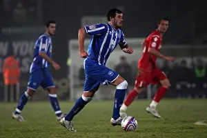 Brighton & Hove Albion vs Charlton Athletic: 2010-11 Home Game