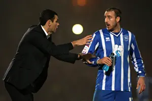 Brighton & Hove Albion vs Charlton Athletic: 2010-11 Home Game