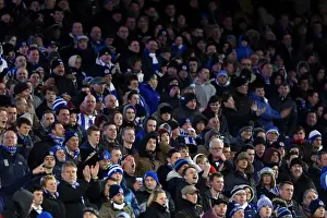 Brighton & Hove Albion vs Charlton Athletic: 2012-13 Home Game
