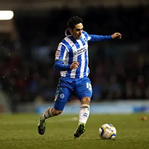 Charlton Athletic - 02-04-2013 Prints: Brighton & Hove Albion vs Charlton Athletic: 2012-13 Home Game