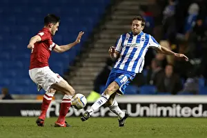 Charlton Athletic - 02-04-2013 Prints: Brighton & Hove Albion vs Charlton Athletic (2012-13): Home Game Highlights - 02-04-2013