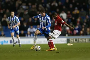 Charlton Athletic - 02-04-2013 Prints: Brighton & Hove Albion vs Charlton Athletic (2012-13): Home Game Highlights - 02-04-2013