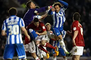Charlton Athletic - 02-04-2013 Prints: Brighton & Hove Albion vs Charlton Athletic (2012-13): A Home Game Review