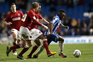 Charlton Athletic - 02-04-2013 Prints: Brighton & Hove Albion vs Charlton Athletic (2012-13 Season): A Home Game Review - 2nd April 2013