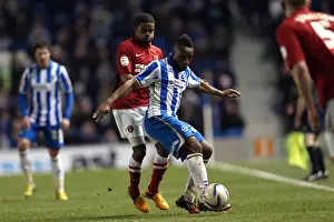 Charlton Athletic - 02-04-2013 Prints: Brighton & Hove Albion vs Charlton Athletic (2013): A Past Season Home Game