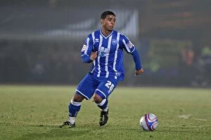 Images Dated 29th December 2010: Brighton & Hove Albion vs Charlton Athletic: 2010-11 Home Season