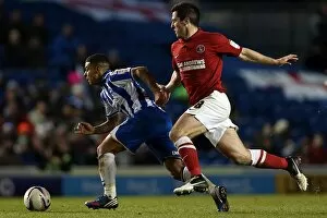 Images Dated 2nd April 2013: Brighton & Hove Albion vs Charlton Athletic (2012-13 Season): A Home Game Review - 2 April 2013