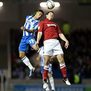 Images Dated 2nd April 2013: Brighton & Hove Albion vs Charlton Athletic (02-04-2013): A Glimpse into the 2012-13 Home Season