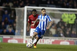 Images Dated 2nd April 2013: Brighton & Hove Albion vs Charlton Athletic (02-04-2013): A Look Back at the 2012-13 Home Season
