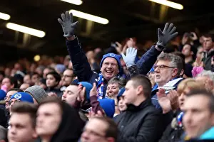 Brighton & Hove Albion vs Charlton Athletic (Away) - 26-12-2013, Season 2013-14
