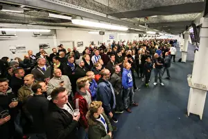 Brighton and Hove Albion vs Charlton: Beamback Atmosphere, American Express Community Stadium (23 April 2016)