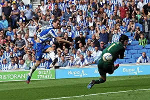 Brighton & Hove Albion vs. Chelsea: 2012-13 Pre-Season Clash