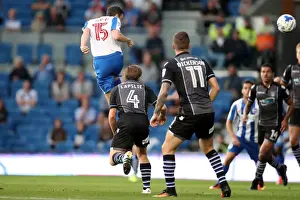 Brighton and Hove Albion vs Colchester United: EFL Cup Clash at American Express Community Stadium (09.08.2016)
