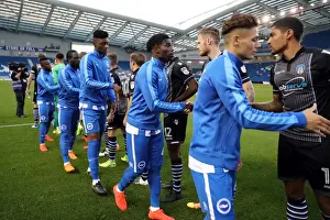 Brighton and Hove Albion vs Colchester United: EFL Cup Clash at American Express Community Stadium (09.08.16)