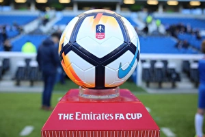 Brighton and Hove Albion vs Coventry City: FA Cup 5th Round Battle at American Express Community Stadium (17FEB18)