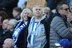 Brighton and Hove Albion vs Coventry City: FA Cup 5th Round Battle at American Express Community Stadium (17FEB18)