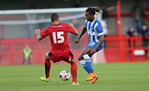 Brighton and Hove Albion vs Crawley Town: Pre-Season Clash at Checkatrade Stadium (22/07/2015) - Match Action