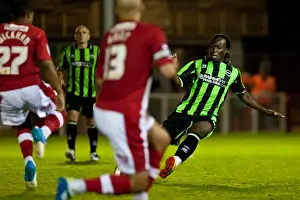 Crawley Town Prints: Brighton & Hove Albion vs Crawley Town: 2012-13 Pre-Season Clash