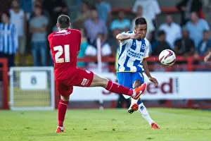 Crawley Town - 24-07-2013 Prints: Brighton & Hove Albion vs Crawley Town: 2013-14 Pre-Season Clash