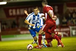 Crawley Town - 24-07-2013 Prints: Brighton & Hove Albion vs Crawley Town: 2013-14 Pre-Season Clash