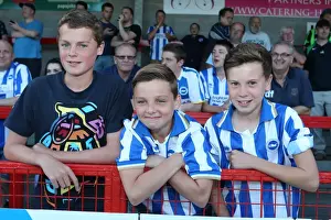 Crawley Town - 24-07-2013 Prints: Brighton & Hove Albion vs Crawley Town: 2013-14 Pre-Season Clash