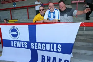 Crawley Town - 24-07-2013 Prints: Brighton & Hove Albion vs Crawley Town: 2013-14 Pre-Season Clash