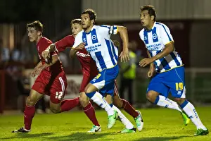 Crawley Town - 24-07-2013 Prints: Brighton & Hove Albion vs. Crawley Town: 2013-14 Pre-Season Clash