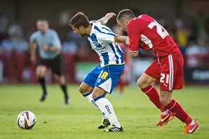 Crawley Town - 24-07-2013 Prints: Brighton & Hove Albion vs Crawley Town: 2013-14 Pre-Season Clash