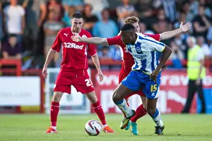 Crawley Town - 24-07-2013 Prints: Brighton & Hove Albion vs Crawley Town: 2013-14 Pre-Season Clash