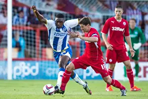 Crawley Town - 24-07-2013 Prints: Brighton & Hove Albion vs Crawley Town: 2013-14 Pre-Season Clash