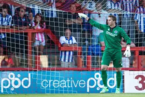Crawley Town - 24-07-2013 Prints: Brighton & Hove Albion vs Crawley Town: Pre-Season Clash (2013-14)