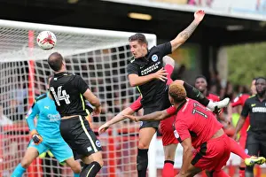 Crawley Town 16JUL16 Prints: Brighton and Hove Albion vs Crawley Town: Pre-Season Clash at Checkatrade Stadium (16th July 2016)