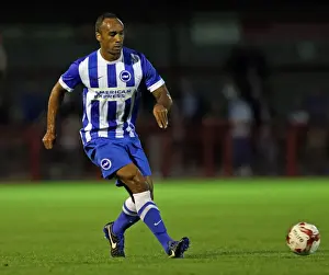 Checkatradecom Stadium Prints: Brighton and Hove Albion vs Crawley Town: Pre-Season Clash at Checkatrade Stadium (22/07/2015)