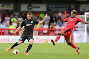 Brighton and Hove Albion vs. Crawley Town: Pre-Season Friendly at Checkatrade Stadium (16th July 2016)