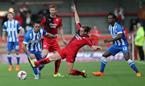 Brighton and Hove Albion vs. Crawley Town: Pre-Season Friendly Clash at Checkatrade Stadium (22/07/2015)