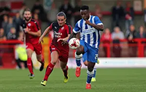 Brighton and Hove Albion vs Crawley Town: Pre-Season Friendly Clash at Checkatrade Stadium (22/07/2015)