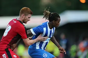 Brighton and Hove Albion vs. Crawley Town: Pre-Season Friendly Clash at Checkatrade Stadium (22/07/2015)