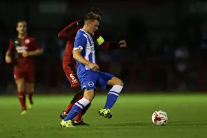 Brighton and Hove Albion vs. Crawley Town: Pre-Season Friendly Clash at Checkatrade Stadium (22/07/2015)