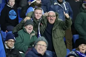 Images Dated 28th November 2017: Brighton and Hove Albion vs. Crystal Palace: A Premier League Battle at American Express Community