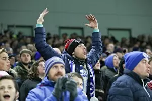 Images Dated 28th November 2017: Brighton and Hove Albion vs. Crystal Palace: A Premier League Showdown at American Express
