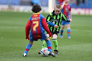 Brighton & Hove Albion vs. Crystal Palace: 2012-13 Away Game Highlights (1st December 2012)